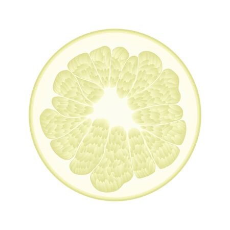 Isolated circle of juicy yellow color pomelo on white background. Realistic colored round sliceのイラスト素材