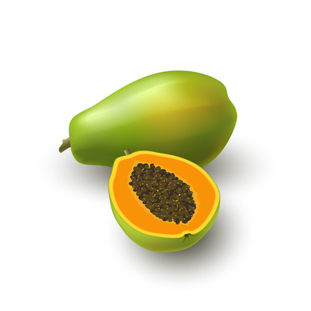 Isolated realistic colored papaya, pawpaw, paw paw half with seeds and whole juicy fruit with shadow on white backgroundのイラスト素材