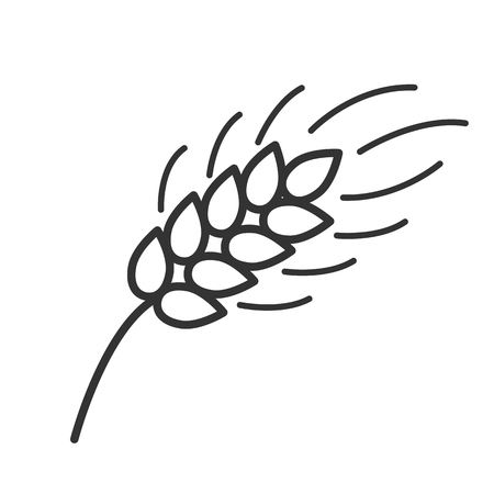 Black isolated outline icon of ear of wheat on white background. Line Icon of ear of wheatのイラスト素材