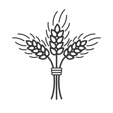Black isolated outline icon of sheaf of wheat on white background. Line Icon of sheaf of wheatのイラスト素材