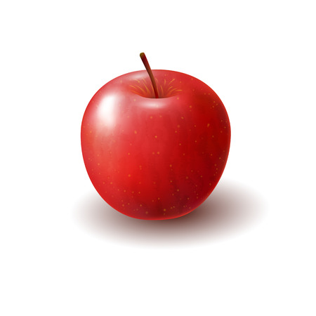 Isolated realistic colored red apple. Whole juicy fruit with shadow on white backgroundのイラスト素材