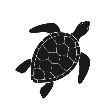 Isolated black silhouette of marine green turtle with white lines on white background. Top view. View from aboveのイラスト素材