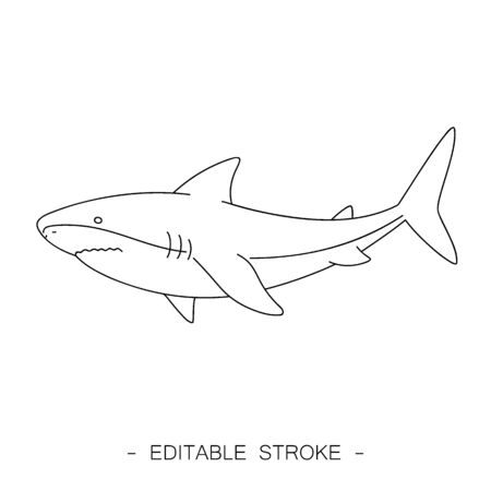 Isolated black outline shark on white background. Line sea animal, fishのイラスト素材