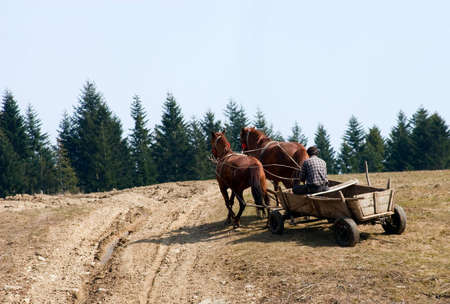 Wagon with horses. rural stage. Ukraine. Carpathians.の写真素材