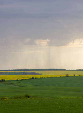 fields in springの写真素材