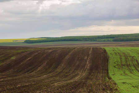 fields in springの写真素材