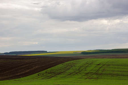 fields in springの写真素材