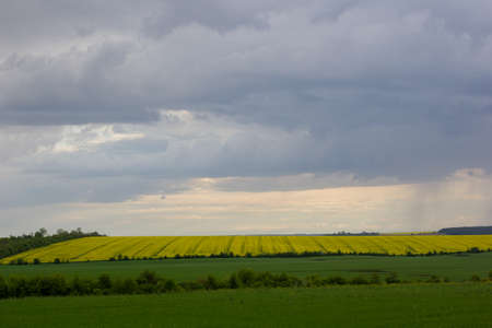 fields in springの写真素材