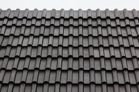 the roof of the house in which modern roofing materials are usedの写真素材