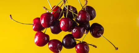 Ripe cherries on a solid background, healthy vegetarian food. Beautiful