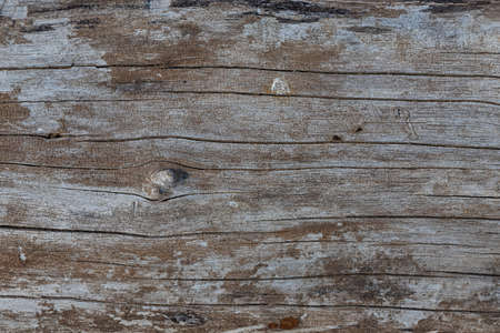 texture of old wooden boards. Beautiful background. abstract