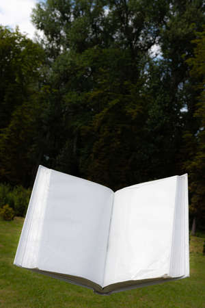 blank white open book on a uniform backgroundの写真素材