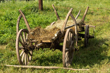 old wood hay-wagon coach wheel in grass.の写真素材