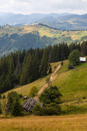 mountain slopes in the Ukrainian Carpathians. mountain tops and forests on a background of blue sky.の写真素材