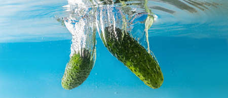 green cucumber falls into the water scattering a lot of sprays and drops.の写真素材