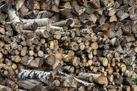 Pile of firewood. Preparation of firewood for the winter and use for cooking, firewood background, Stacks of firewood in the forest.の写真素材