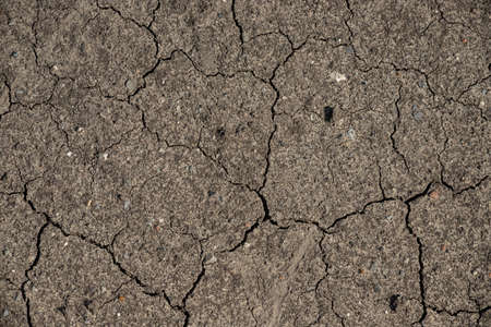 Dry, cracked dirt texture for creative background.