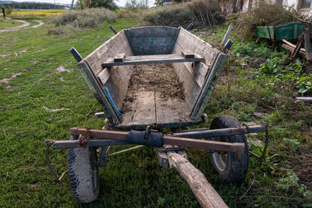 Wooden horse cart on green field in garden.の写真素材