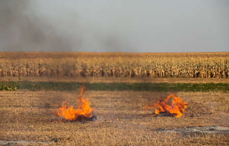incineration of agricultural waste - smog and pollution. Harmful emissions from burning hay and straw in agricultural fields.の写真素材
