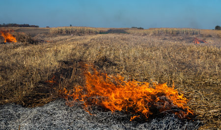 Close-up background of fire is rising from burning straw to black ash and smoke.の写真素材
