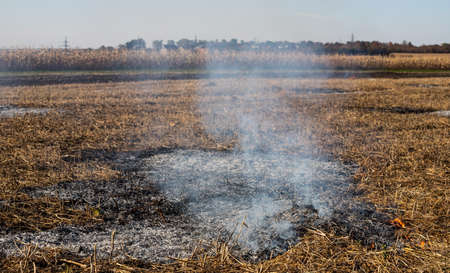 incineration of agricultural waste - smog and pollution. Harmful emissions from burning hay and straw in agricultural fields.の写真素材