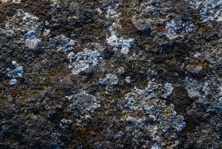 old stone with moss texture or background.の写真素材