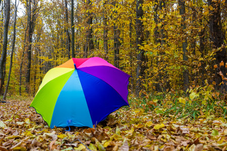 Colorful umbrella lying on yellow leafs in autumn day.