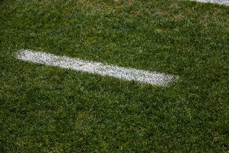Soccer Field Line detail for Backgrounds or Texture.の写真素材