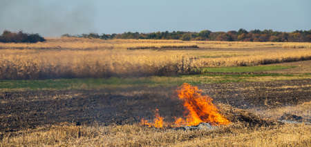 incineration of agricultural waste - smog and pollution. Harmful emissions from burning hay and straw in agricultural fields.の写真素材