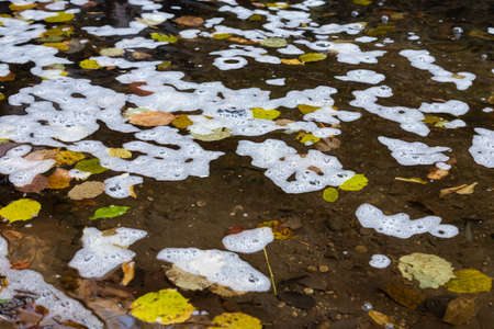 Tranquil scenery mountain river among autumnal forest.の写真素材