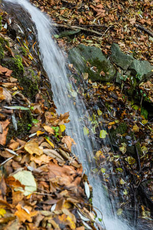 Tranquil waterfall scenery in the middle of autumn forest.