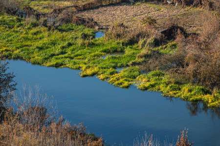 Aerial view of the river in the wild during the fall season. Trees with yellow leaves at sunset on a...