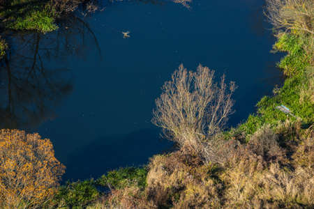 Aerial view of the river in the wild during the fall season. Trees with yellow leaves at sunset on a...