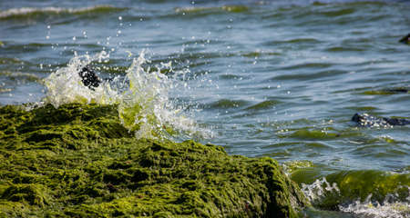 Sea waves crash against large rocks on the shore, forming large splashes..の写真素材