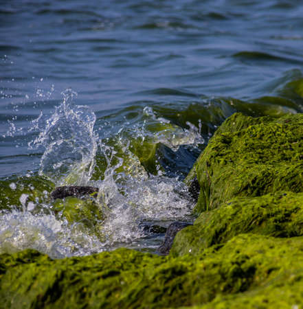 Sea waves crash against large rocks on the shore, forming large splashes..の写真素材