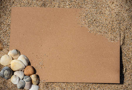 Blank white sheet of paper on white sand with seashells and stones. Message by the sea, romance, valentine's day, mother's day, father's day. copyspace.の写真素材