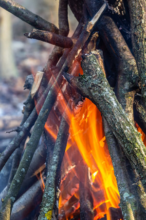 Campfire in the spring forest. Rest on the weekend. Danger of forest fires.