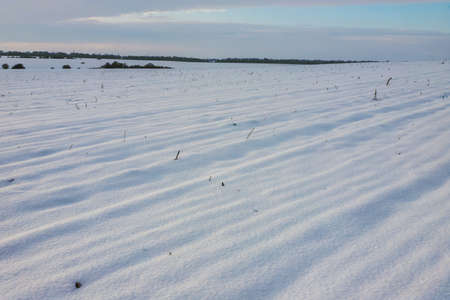 Natural sunset sunrise over field or meadow. The color of the sky over the winter snowy ground....