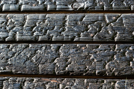 BBQ background. Burnt wood texture. Burned scratched hardwood surface. Smoking wood plank background. Burned wooden grunge texture.の写真素材