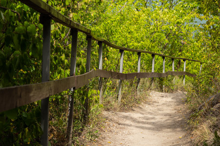 Long trail equipped with gravel steps and wooden handrail for tourists in sunny summer forest. Empty hiking path in nature park reserveの写真素材