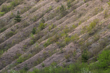 View ravine covered with greenery. Landscape valley with geological faults. Earthen mountains and bumps relief against sky. Hill beam with protrusions and recesses. Grass and trees on slope canyon.の写真素材