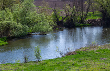 Landscape beautiful alluvial forest at the river in back light in spring.の写真素材