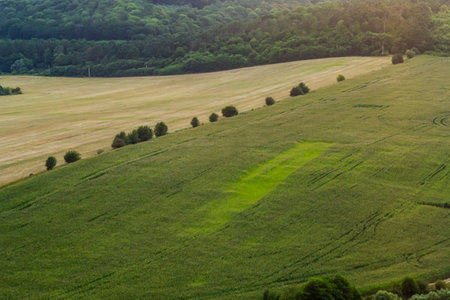 Agricultural Rolling Spring Autumn Landscape. Natural Landscape In Brown And Yellow Color. Waved Cultivated Row Field And Tree. Striped Undulating Unreal Abstract Plowed Field.の写真素材