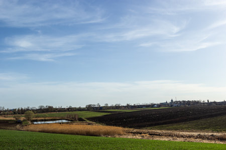 Reeds on the shore of the lake, plowed field and green meadow, sky with light clouds. early spring.の写真素材