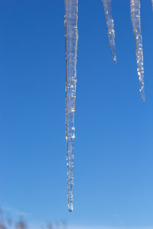 Sharp icicles and melted snow hanging from eaves of roof. Beautiful transparent icicles slowly...