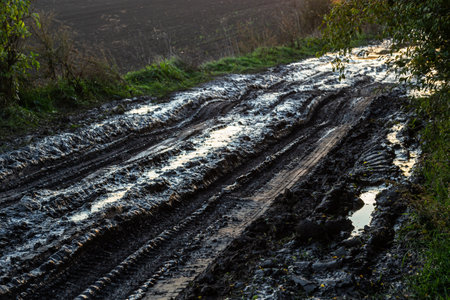 Vanishing dirt road with deep rut and puddles in village at sunset.の写真素材