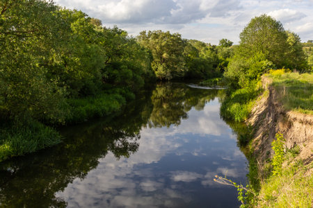 Landscape beautiful alluvial forest at the river in back light in spring.