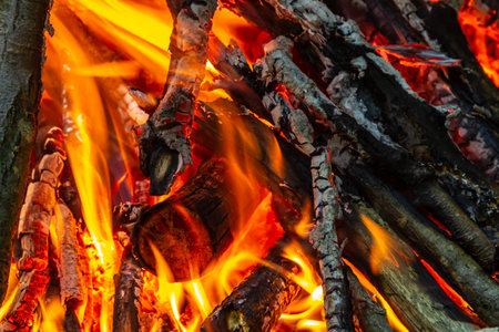 Flame of charcoal fire. Hearth for cooking and heating. Danger in the forest.の写真素材