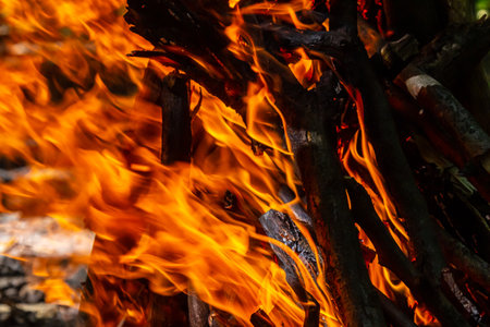Flame of charcoal fire. Hearth for cooking and heating. Danger in the forest.