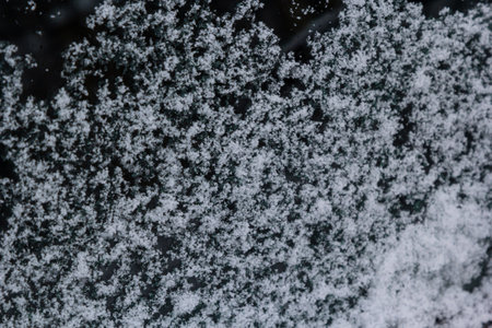 White snow texture background winter concept.の写真素材